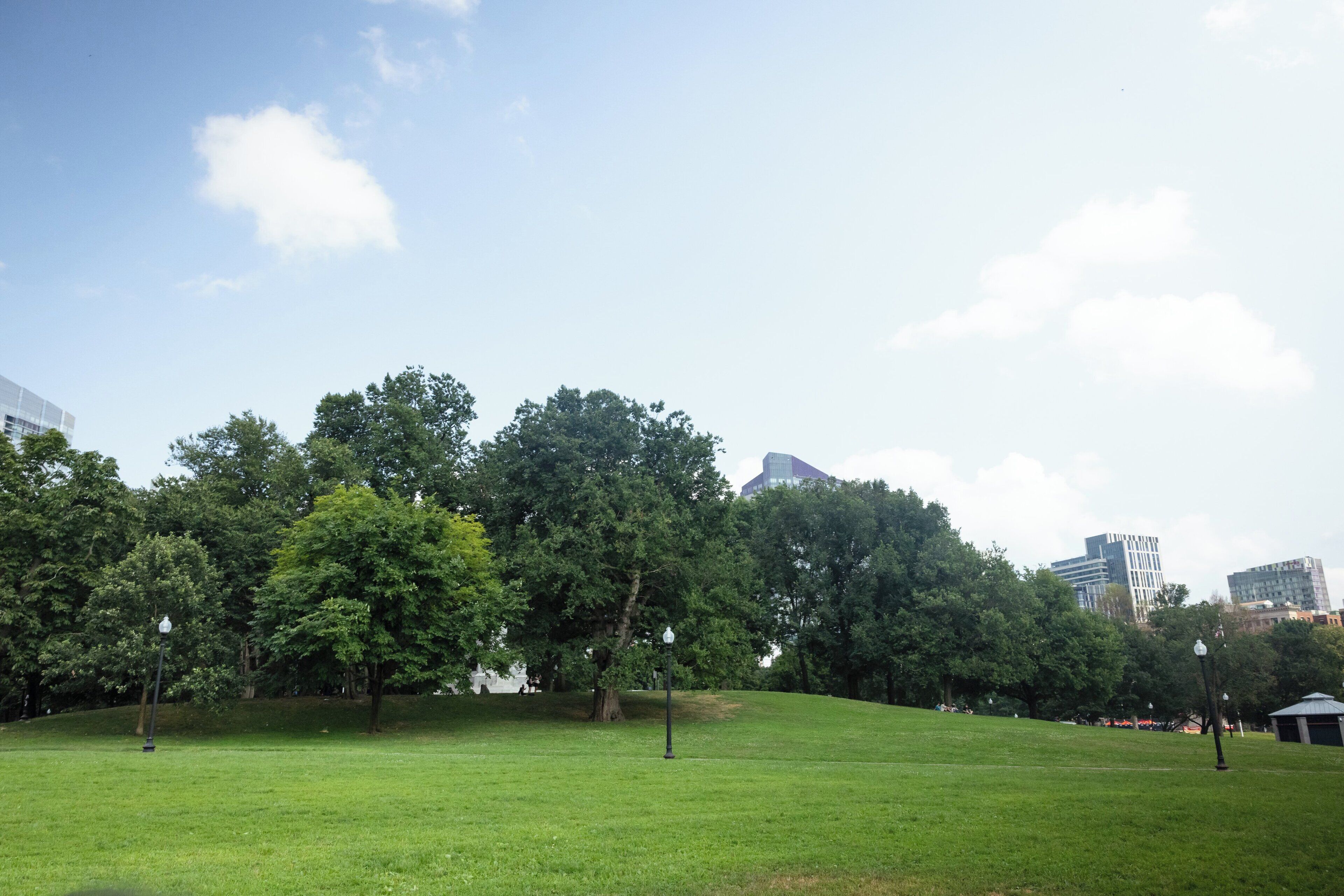 Ein Park mit Bäumen, Gras und einigen Laternen.