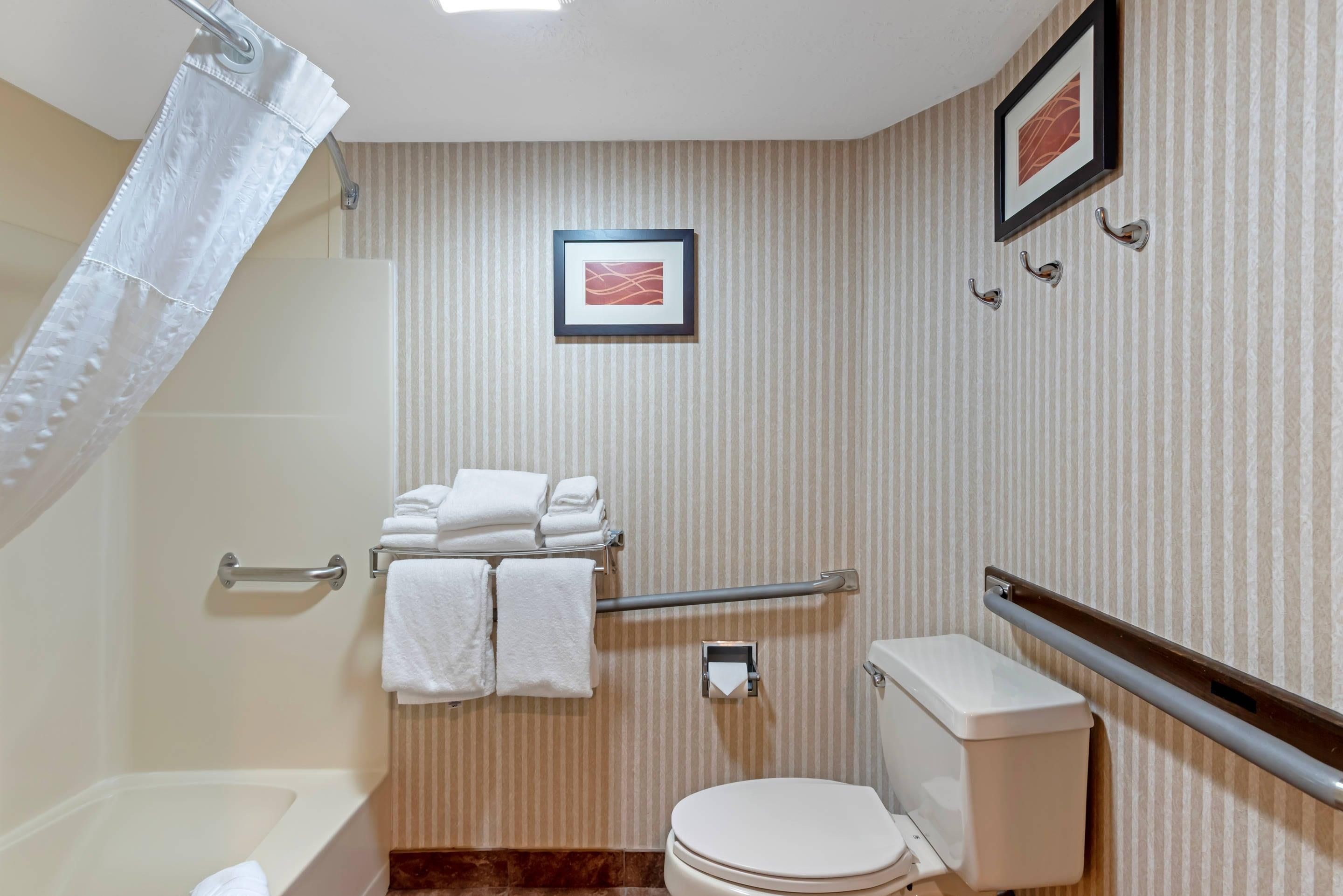 A bathroom with a shower curtain, a toilet, a towel rack with towels, and a framed picture on the wall.