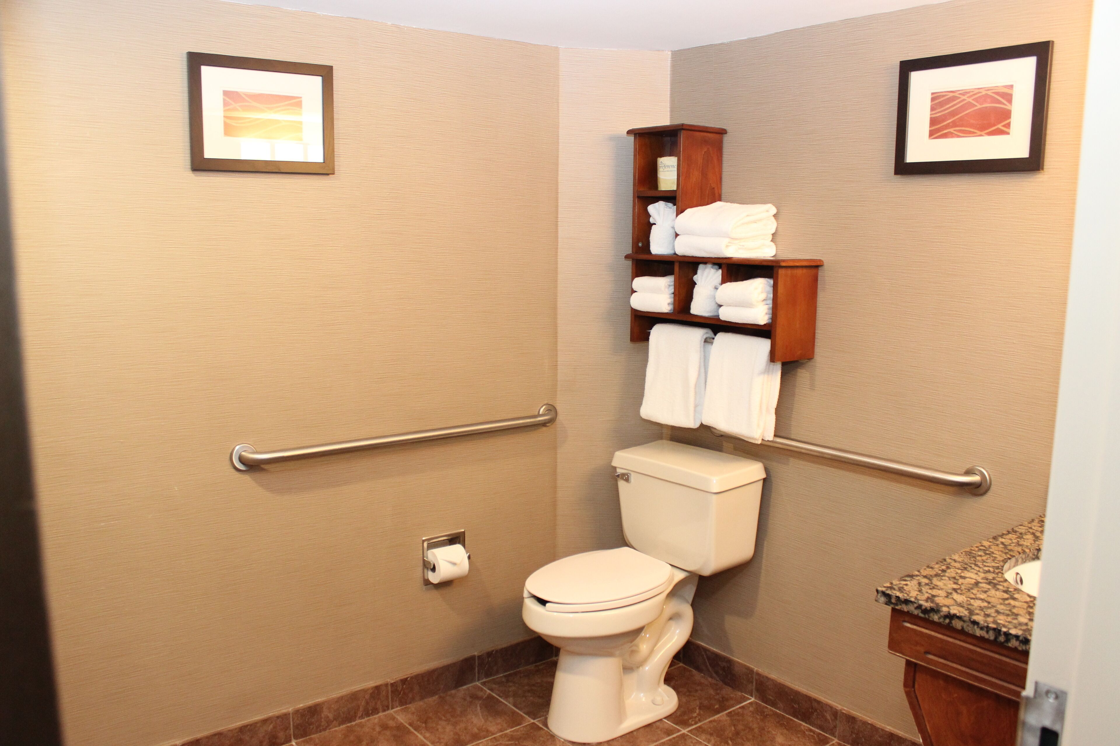 A bathroom with a toilet, handrails, a towel rack, and a sink.