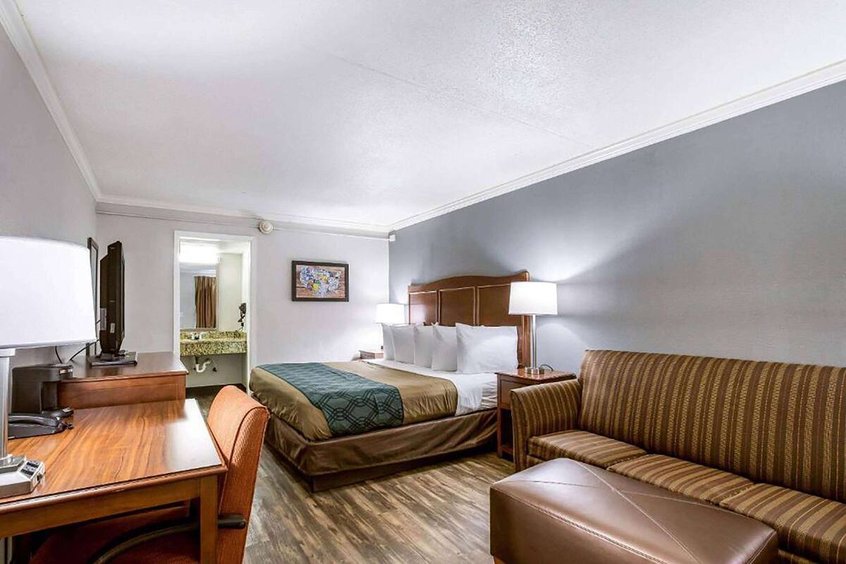A hotel room with a bed, a desk, a chair, a sofa, and a nightstand with a lamp.