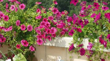 Breakfast, lunch, dinner served; Italian cuisine