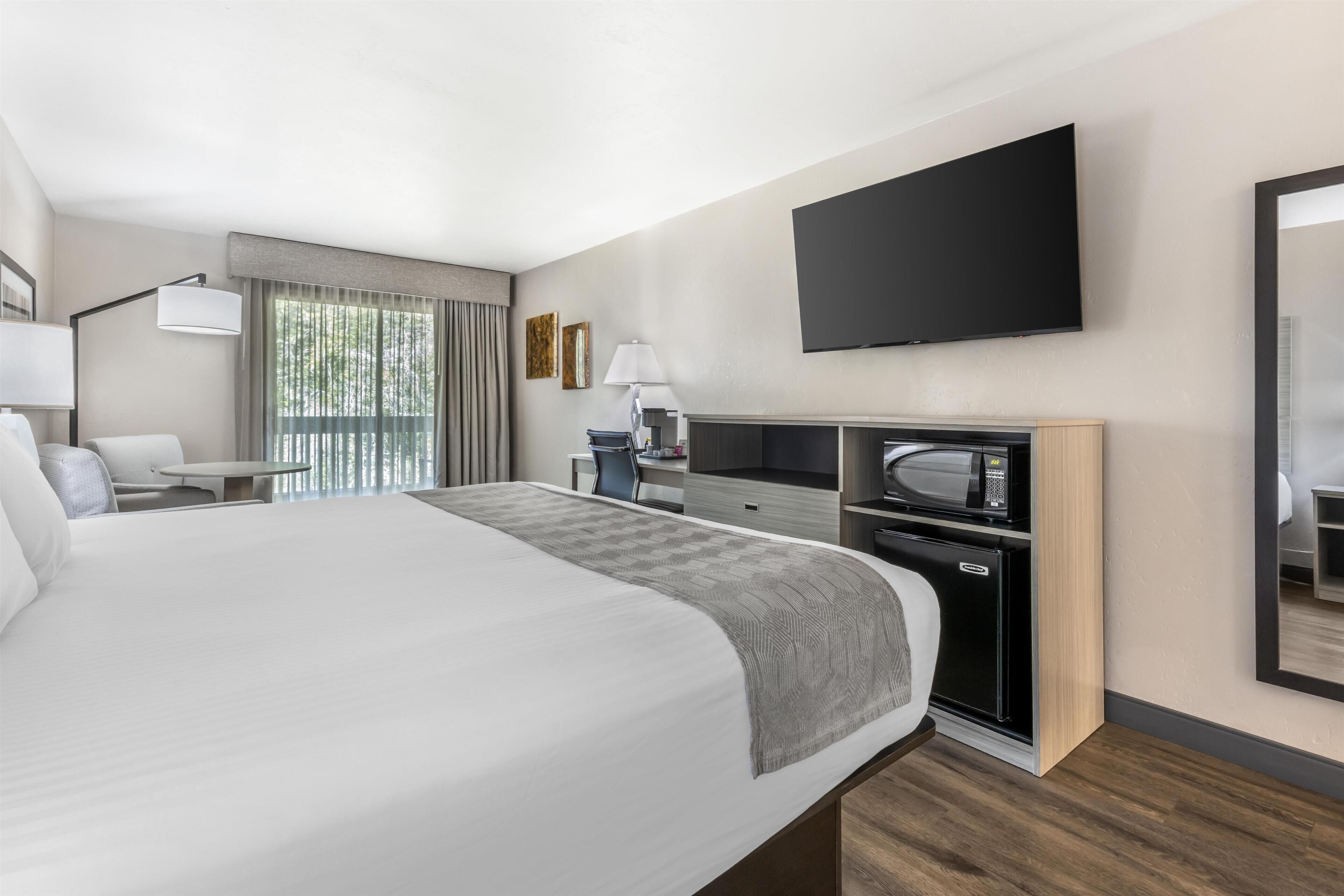 Habitación de hotel con una cama grande, un escritorio, un televisor de pantalla plana, un microondas y un refrigerador pequeño.