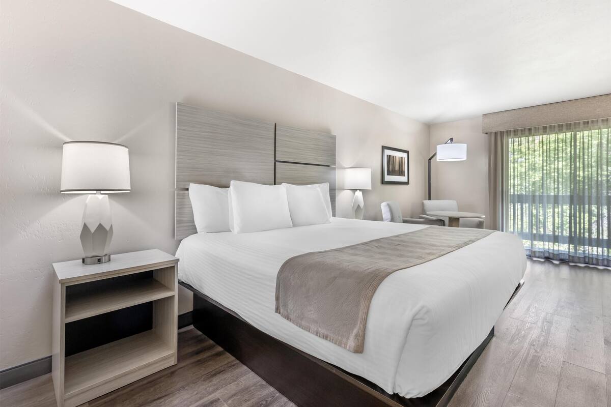 A modern hotel room with a large bed, bedside tables, a nightstand, a lamp, a picture frame, and a view of greenery through the window.