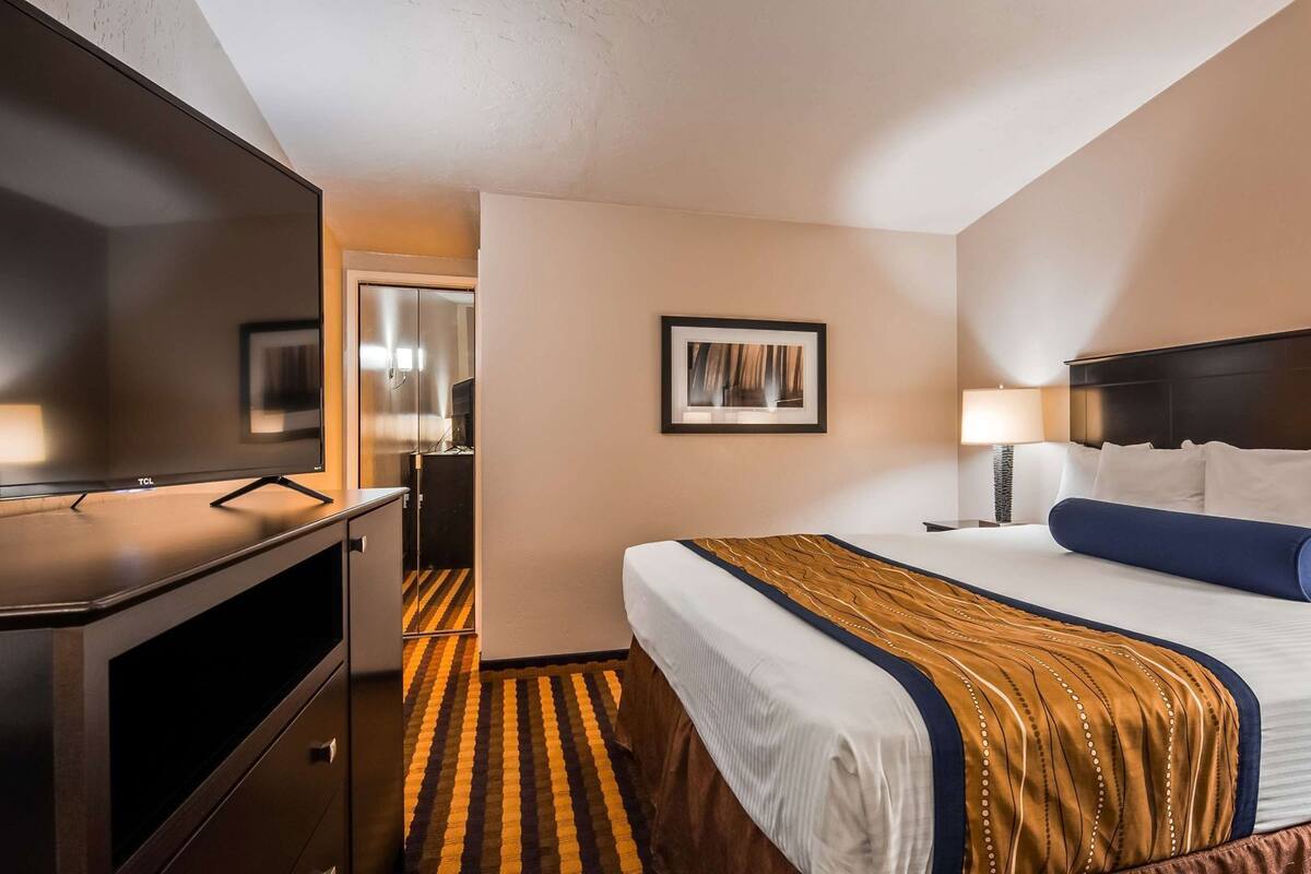 Habitación de hotel con cama, televisión, un cuadro en la pared y alfombra estampada.