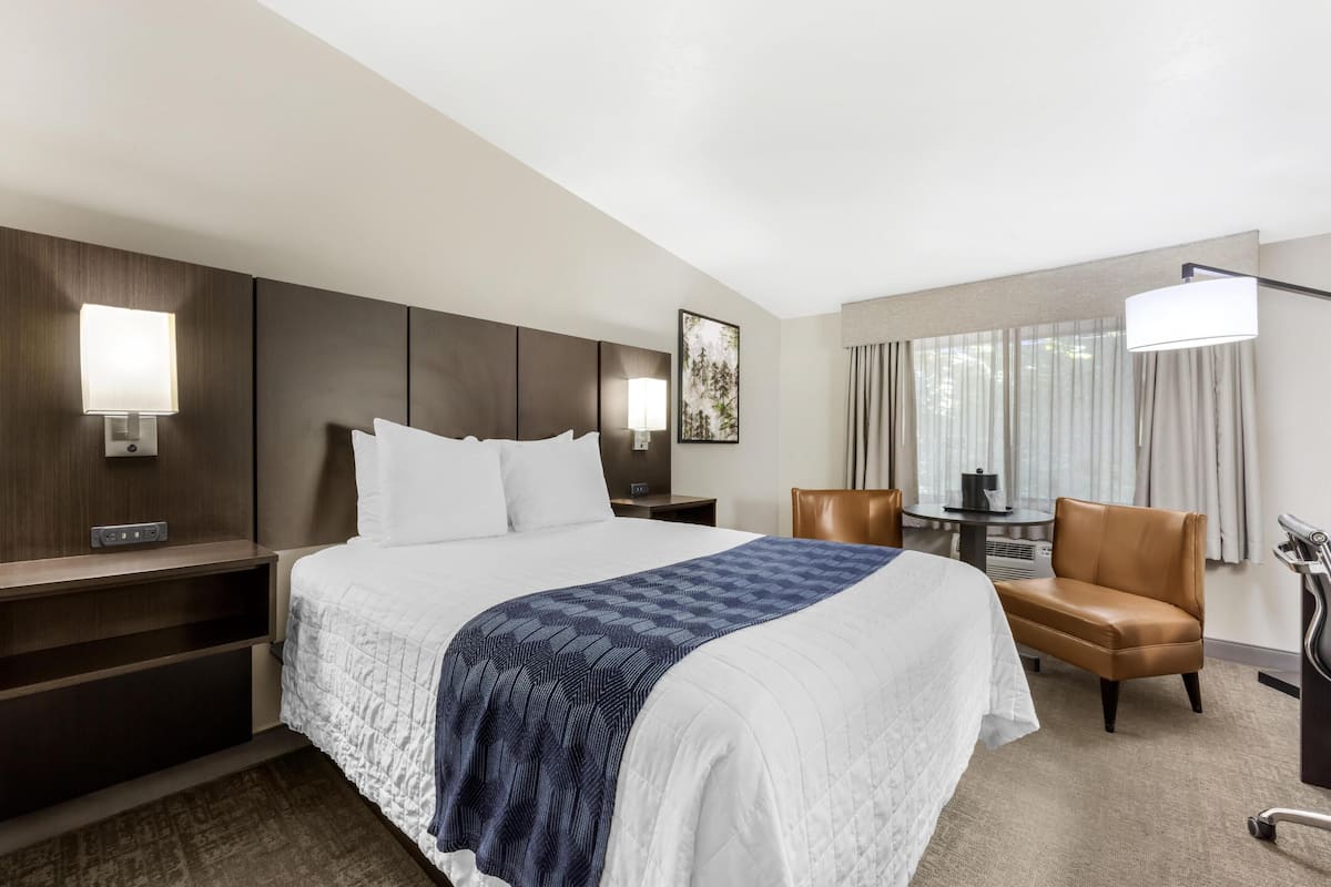 Standard Room, 1 Queen Bed, Non Smoking, Refrigerator