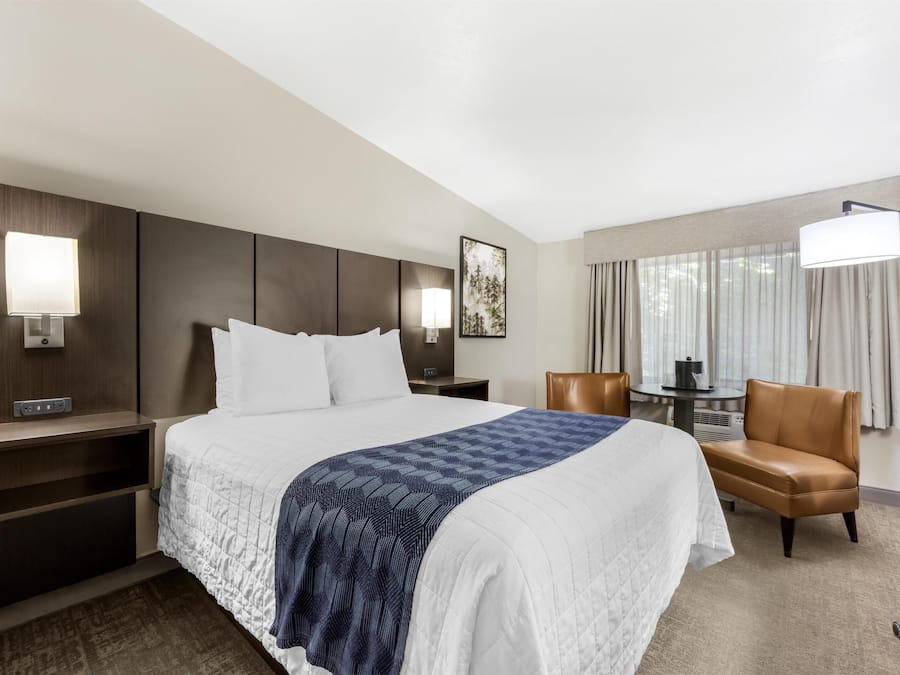 Standard Room, 1 Queen Bed, Non Smoking, Refrigerator | Desk, laptop workspace, blackout curtains, iron/ironing board