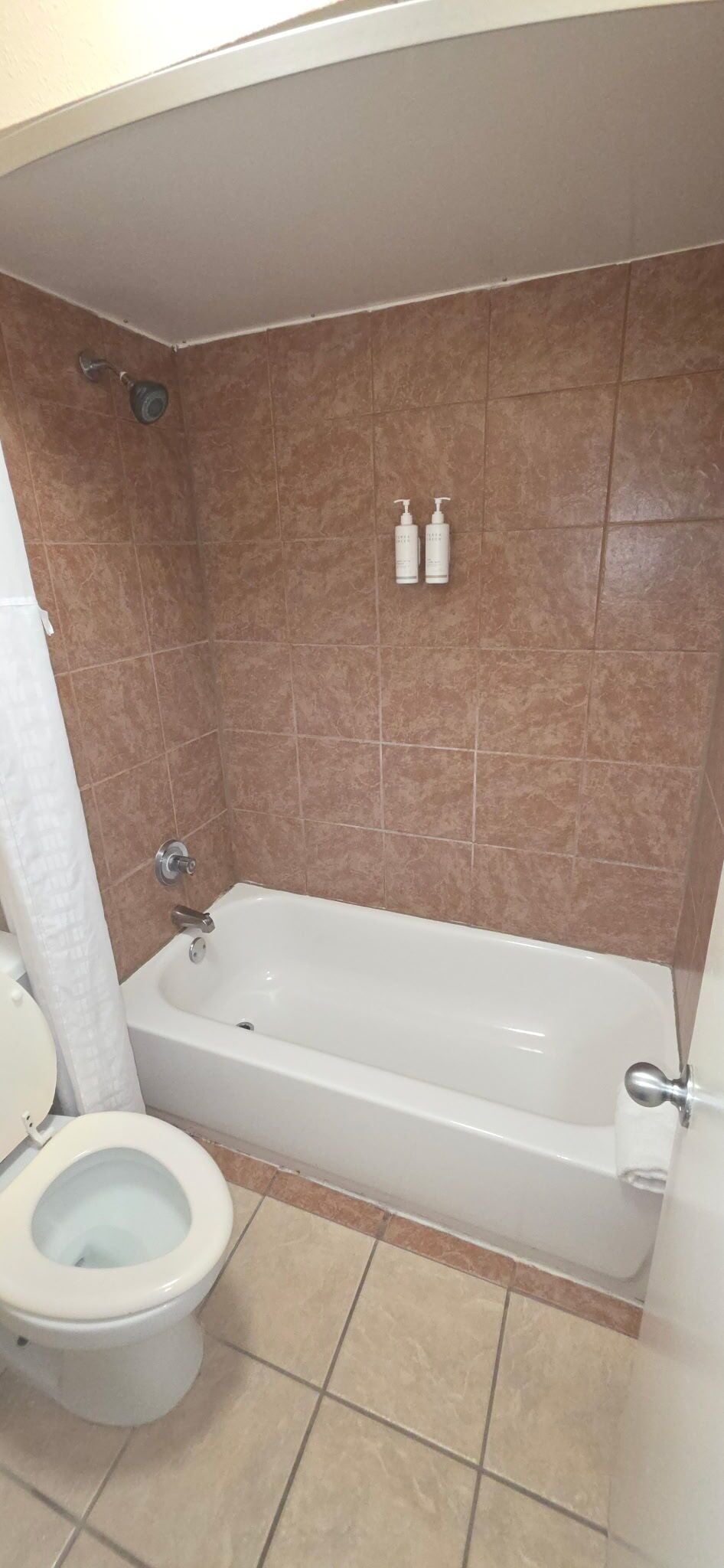 A bathroom with a bathtub, toilet, and two bottles of shampoo on the wall.