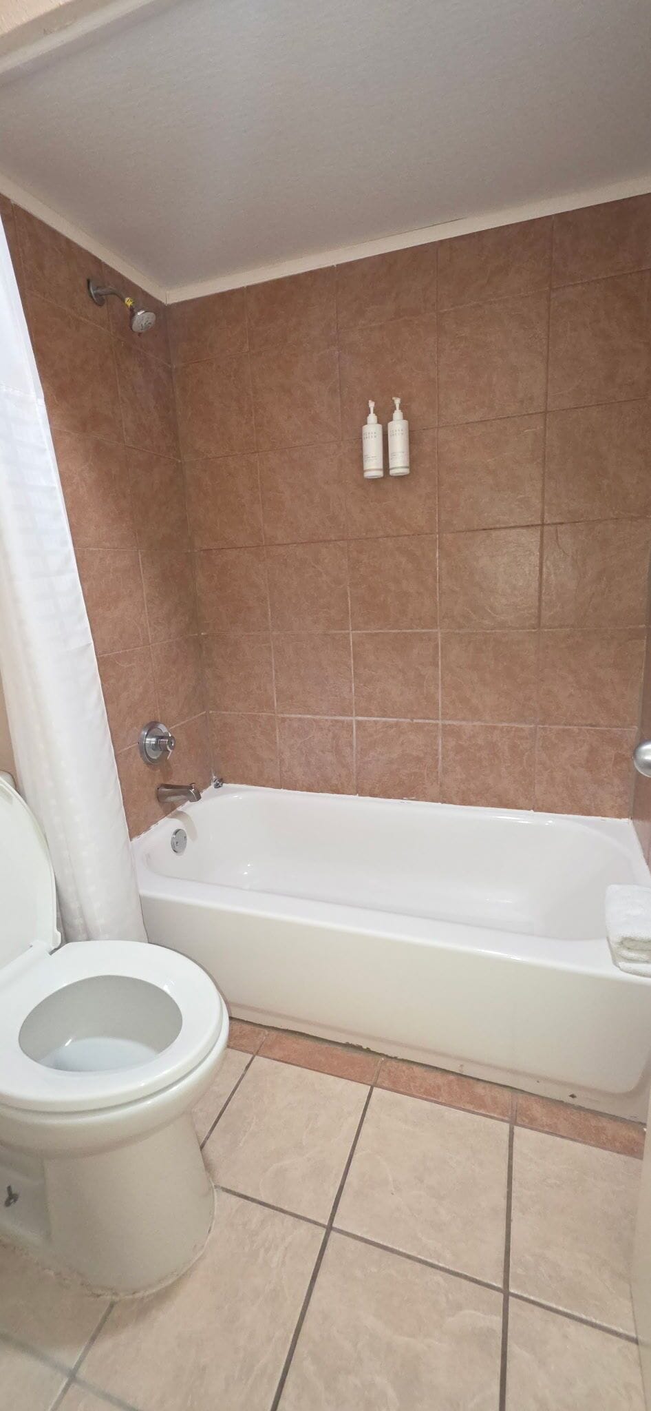 Une salle de bain avec une baignoire, des toilettes et deux bouteilles posées sur le mur.