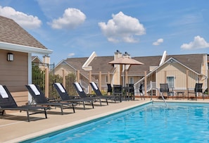 Seasonal outdoor pool, pool umbrellas, sun loungers