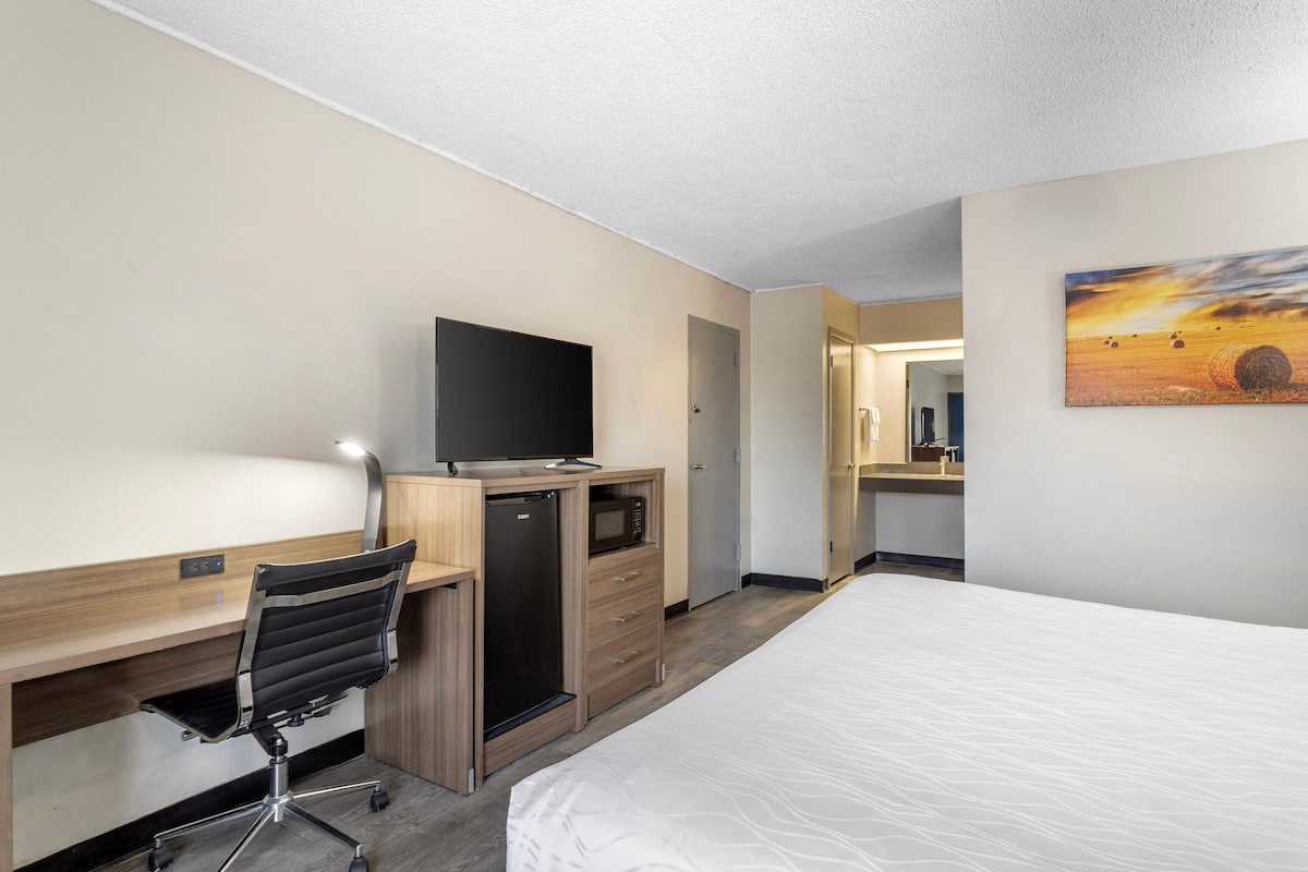 A hotel room with a bed, a desk with a chair, a television, a microwave, and a painting on the wall.