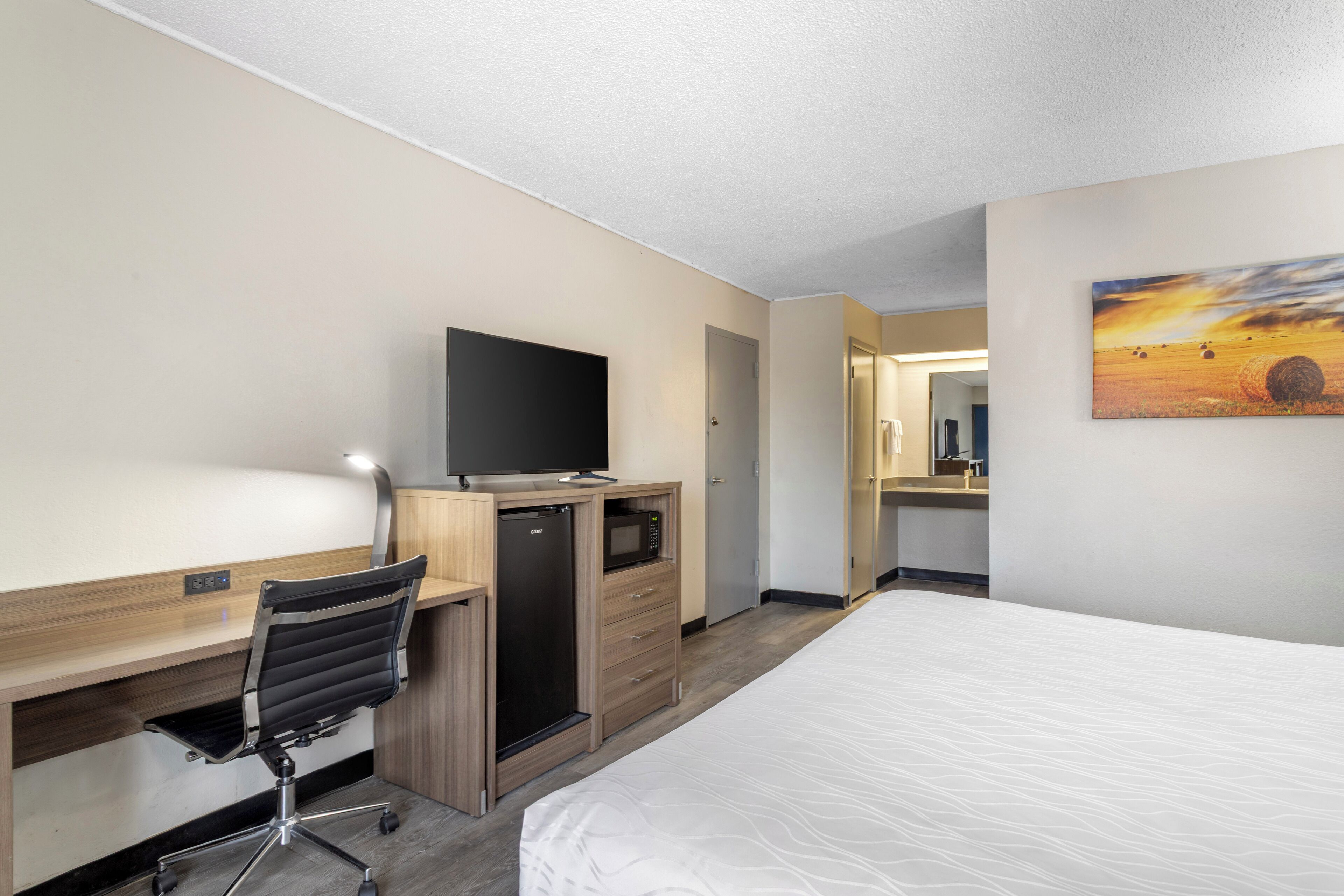 Une chambre d’hôtel comprenant un lit, un bureau avec une chaise, une télévision, un four à micro-ondes et un tableau au mur.
