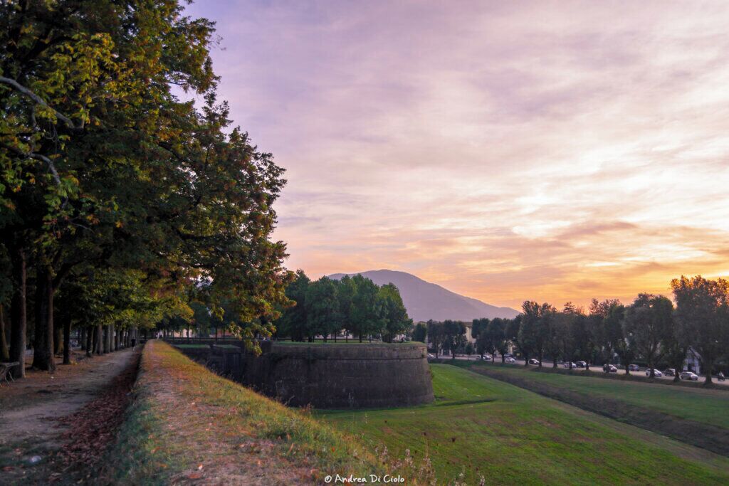 Un sendero bordeado de árboles que conduce a una zona con césped, un muro de piedra y una montaña al fondo.