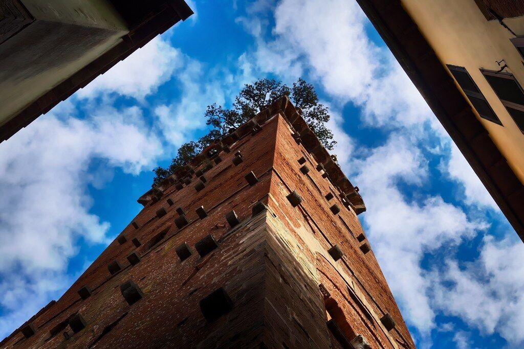 A tall brick tower with multiple windows and a tree on top, viewed from below against a blue sky with clouds.