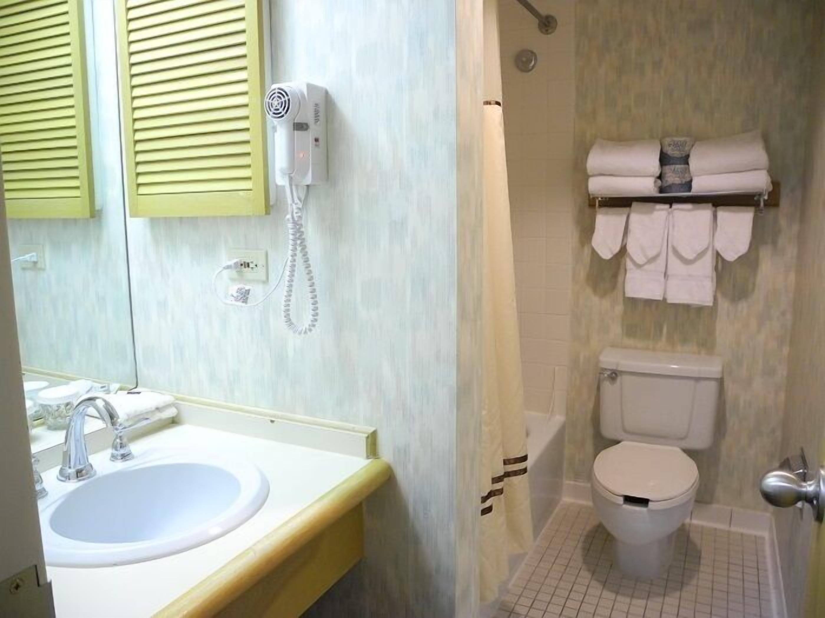 combined shower/bathtub, free toiletries, hair dryer, towels