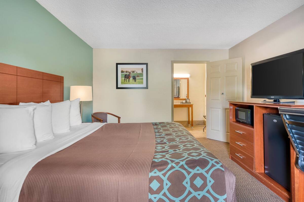 A hotel room with a bed, a desk, a television, and a refrigerator.