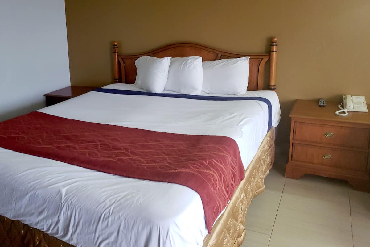 Kamer, 1 kingsize bed | Een bureau, een strijkplank/strijkijzer, gratis wifi