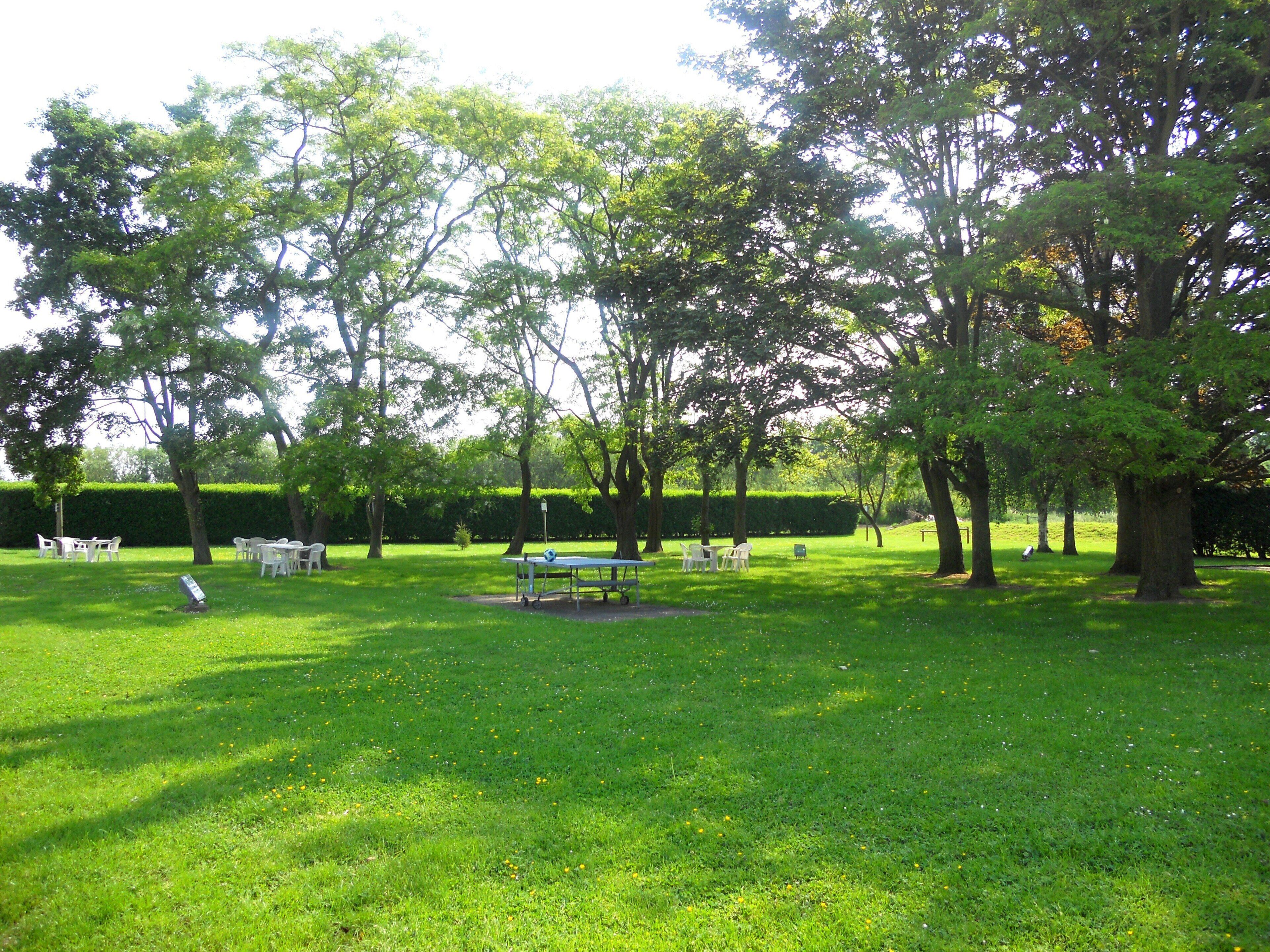 Un parque con una mesa de tenis de mesa, sillas y un pequeño jardín.