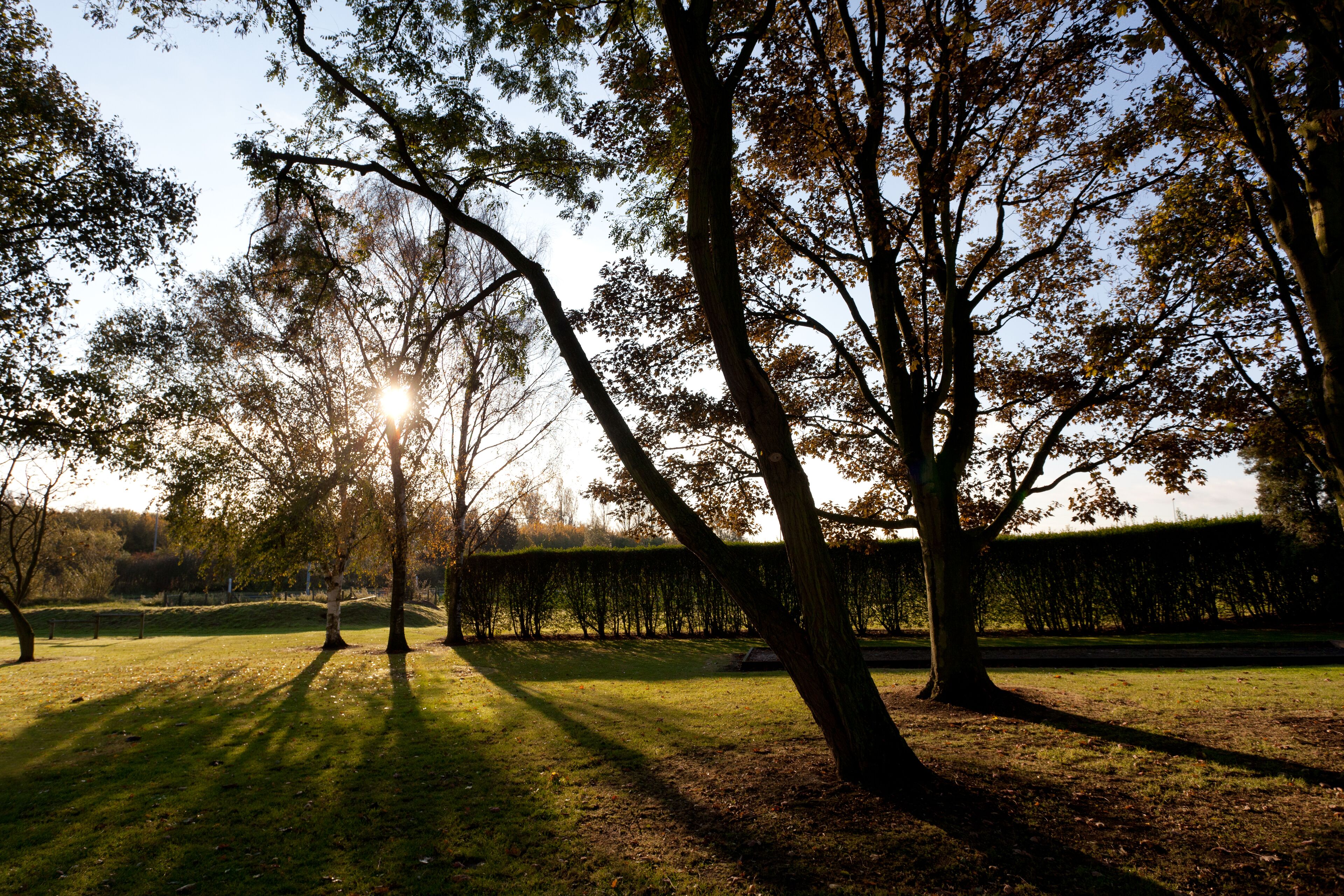 standard room, 1 queen bed with sofa bed | garden view