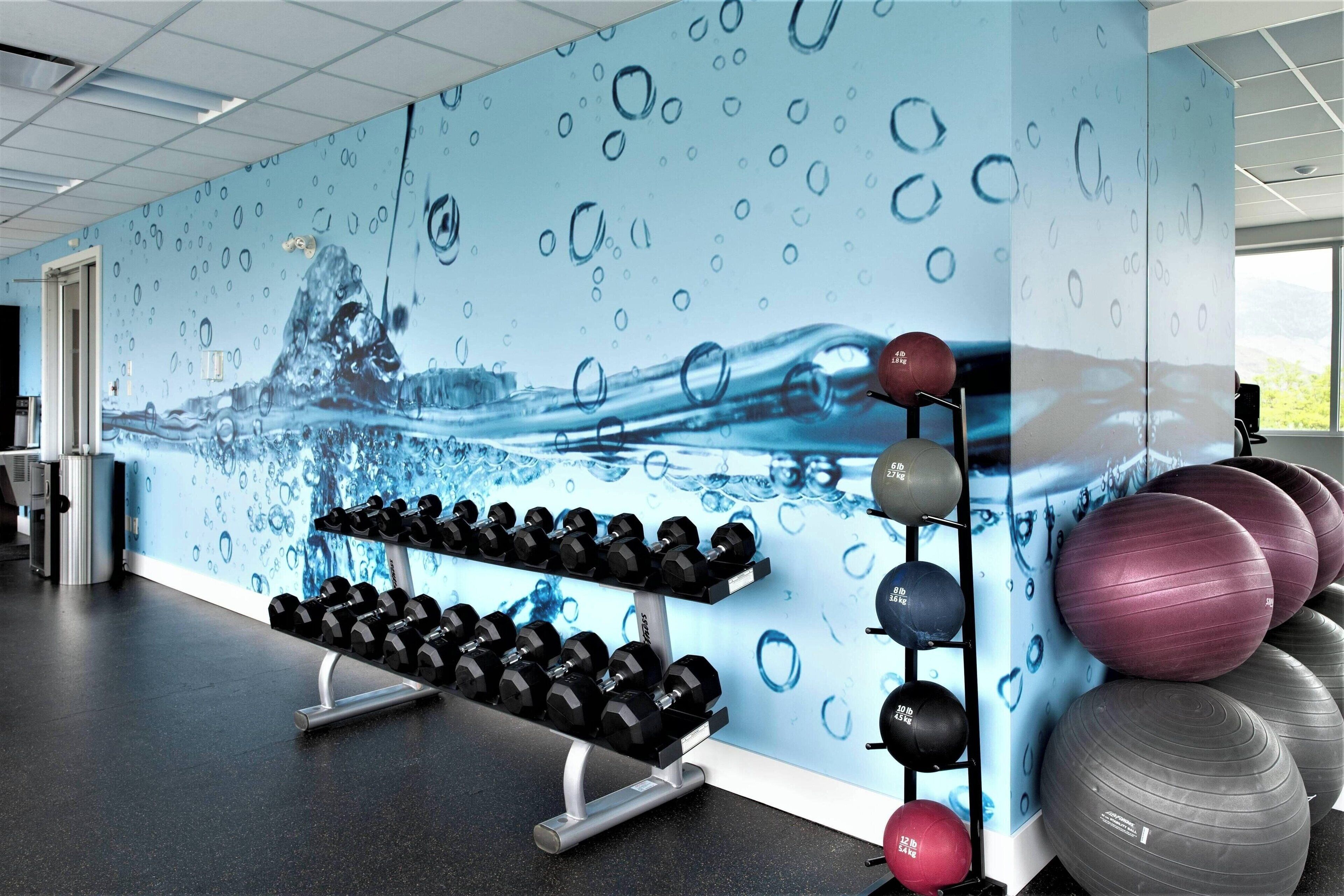 A gym with a wall mural of water and exercise equipment including dumbbells and exercise balls.