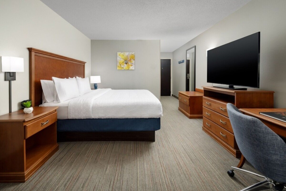 A hotel room with a bed, a desk, a TV, a lamp, and a small plant.