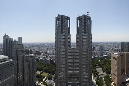 Keio Plaza Hotel Tokyo - Image 22