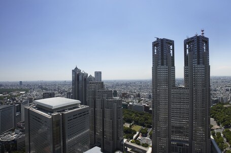 Keio Plaza Hotel Tokyo - Image 35
