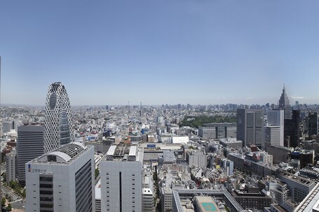 Keio Plaza Hotel Tokyo - Image 24