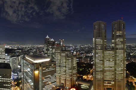 Keio Plaza Hotel Tokyo - Image 11