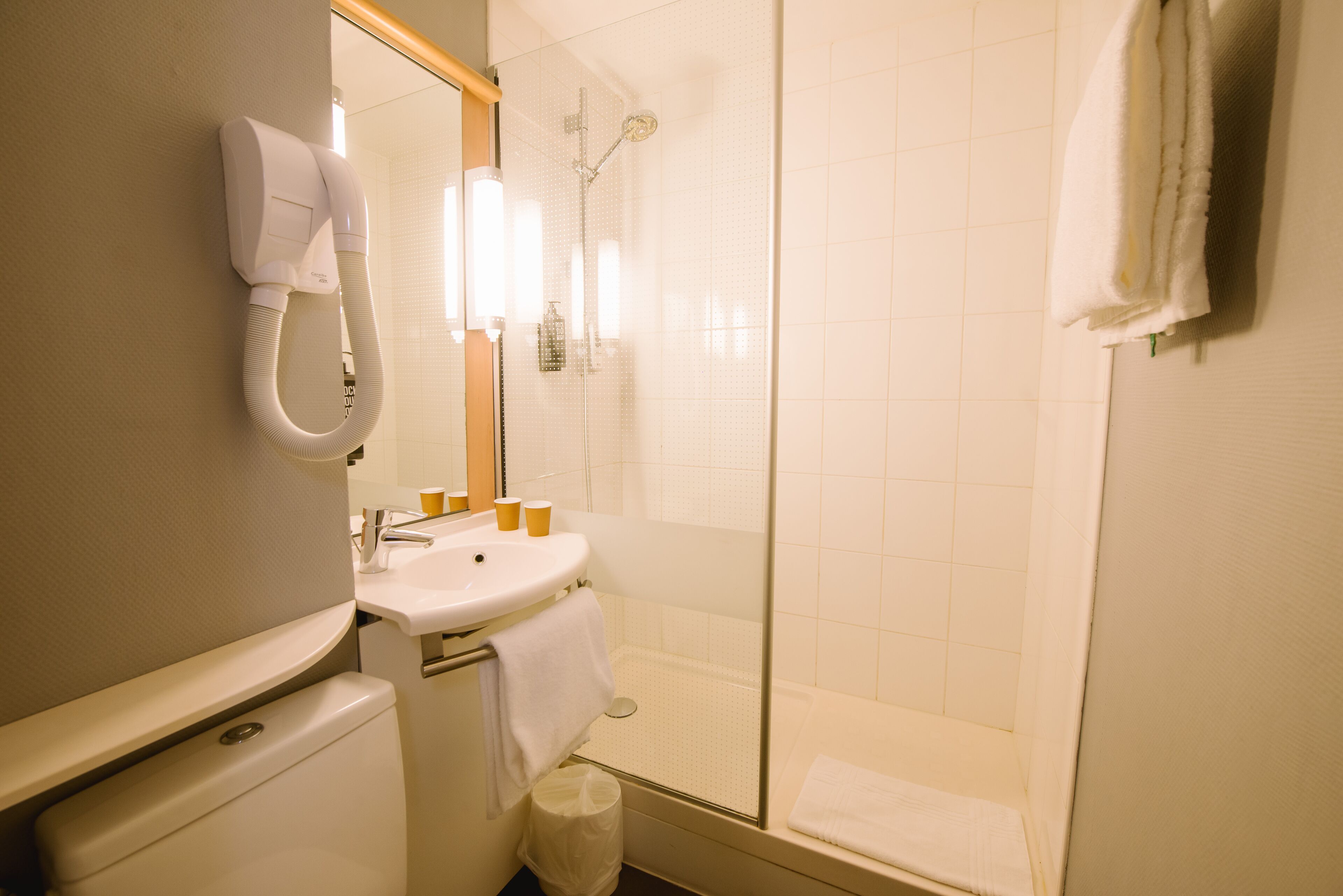 Une salle de bain avec des toilettes, un lavabo et une douche.