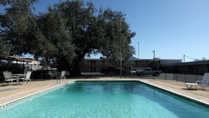 A clear swimming pool with a tiled edge, surrounded by a fenced area with lounge chairs and a large tree providing shade.