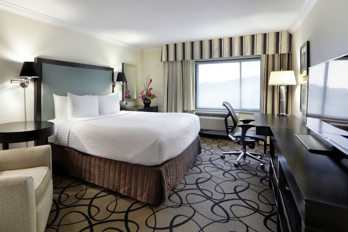 A hotel room with a large bed, a desk, a chair, a lamp, a TV, and a window with a view.