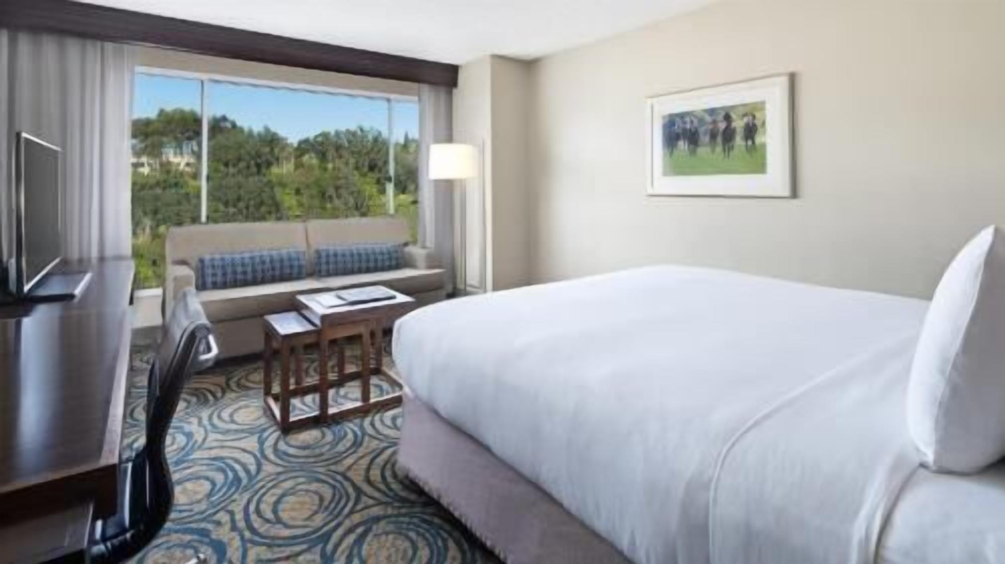 Premium bedding, pillow-top beds, in-room safe, desk
