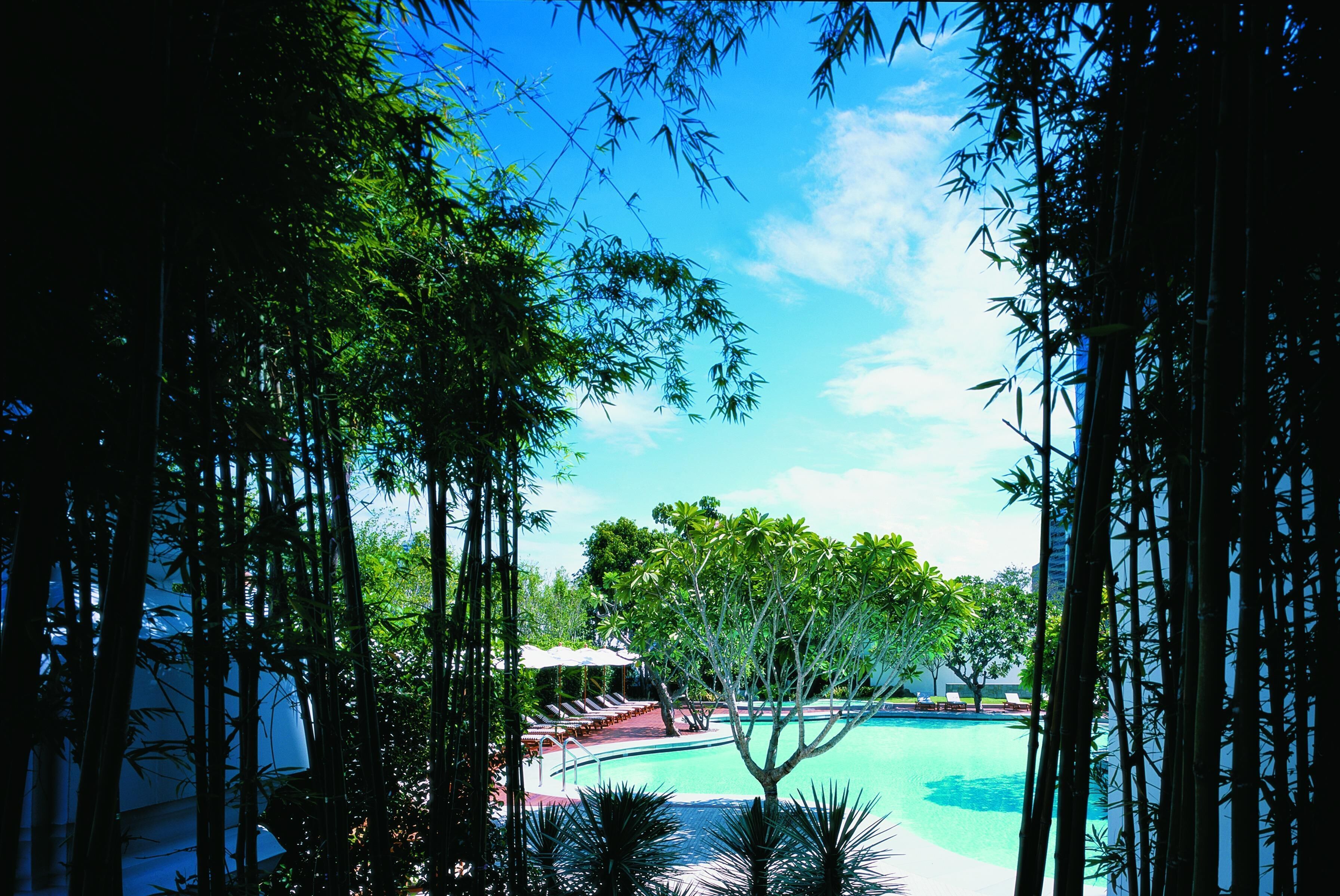 outdoor pool, pool umbrellas, pool loungers