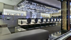 Un bar moderno con una barra larga, varios taburetes y un techo decorativo con luces colgantes.