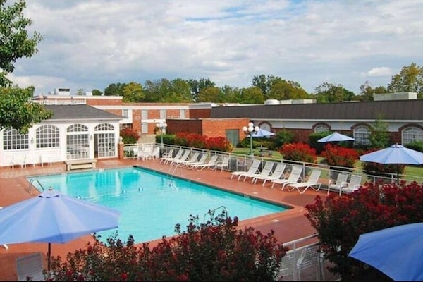Seasonal outdoor pool, pool umbrellas, sun loungers