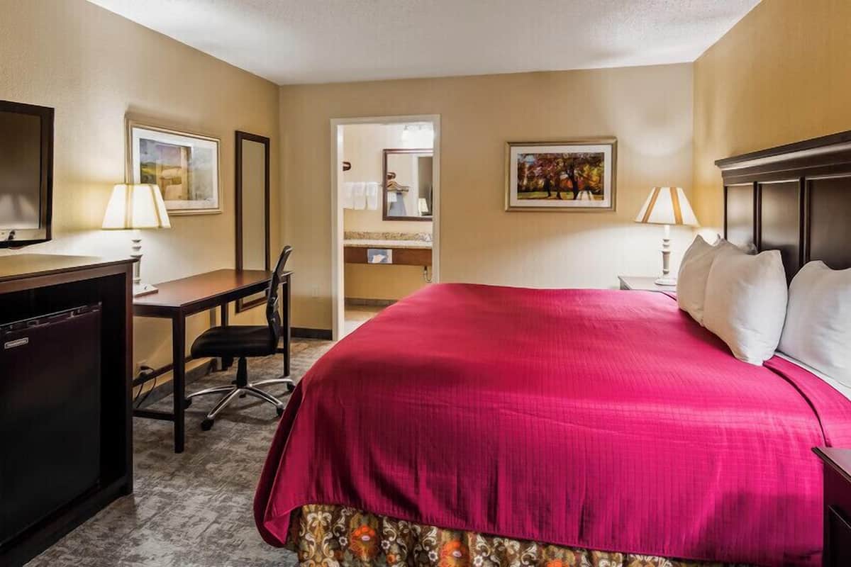 1 bedroom, soundproofing, iron/ironing board, free cots/infant beds