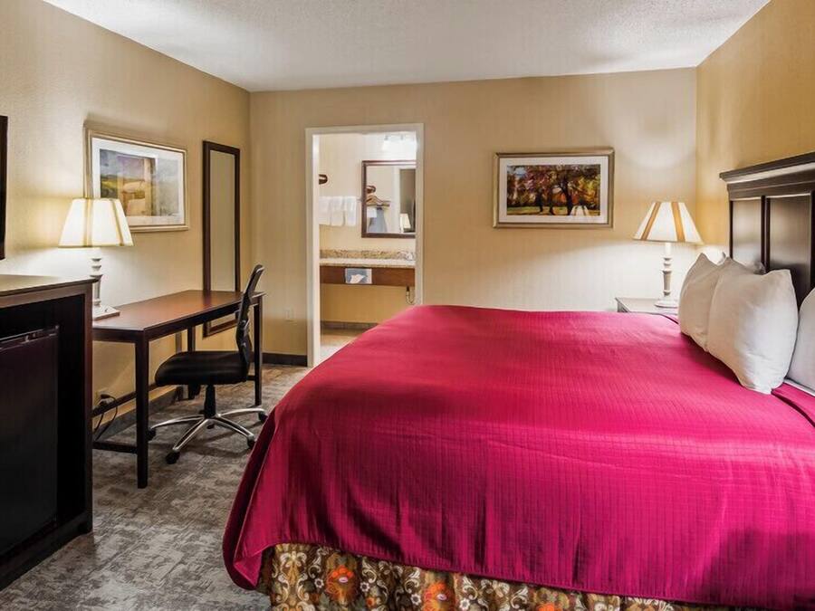 Soundproofing, iron/ironing board, travel crib, rollaway beds