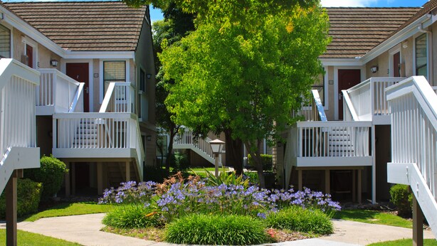 A row of two-story townhouses with white railings, a central tree, and a flower bed.