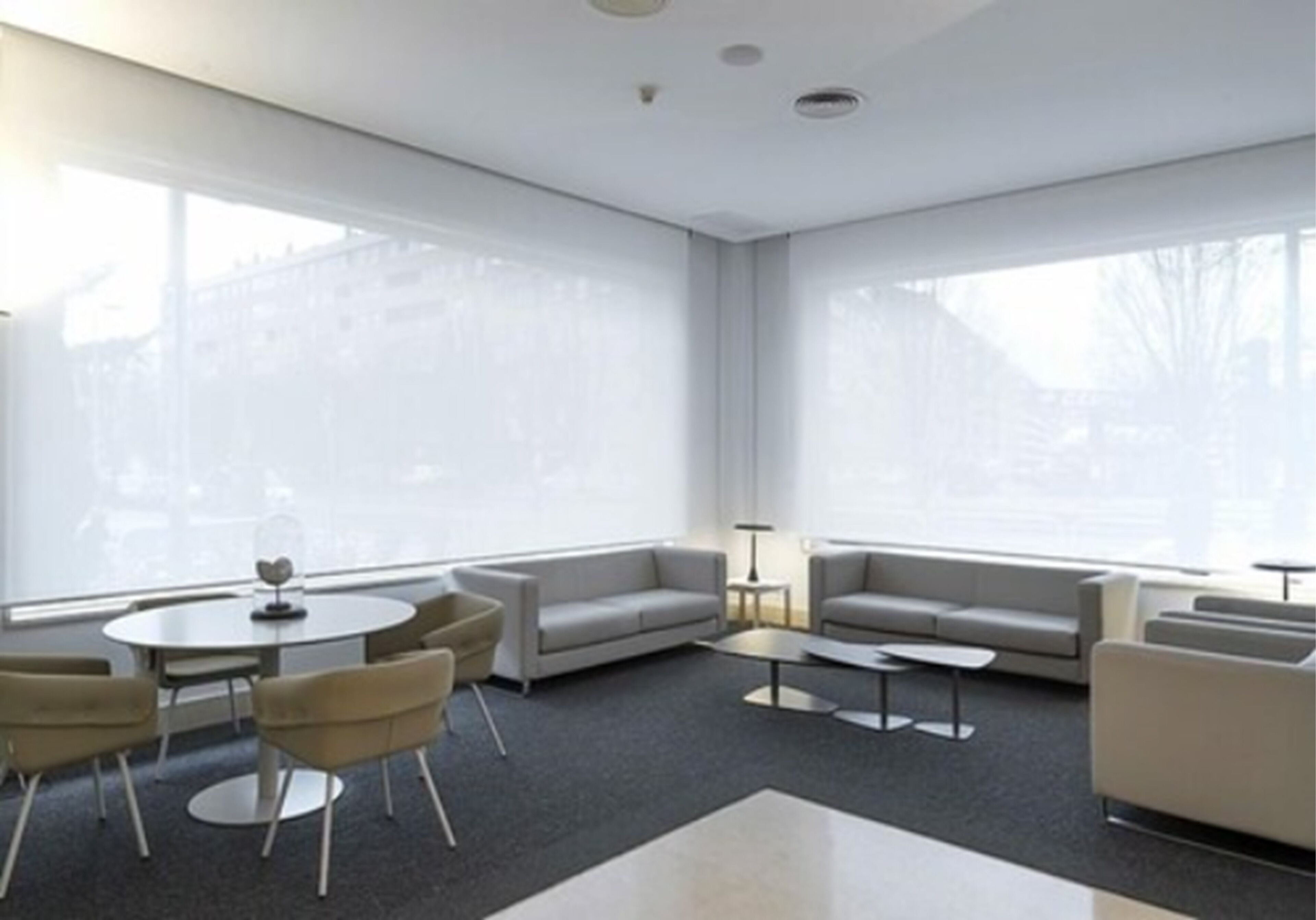 Foto - Hotel Blanca de Navarra