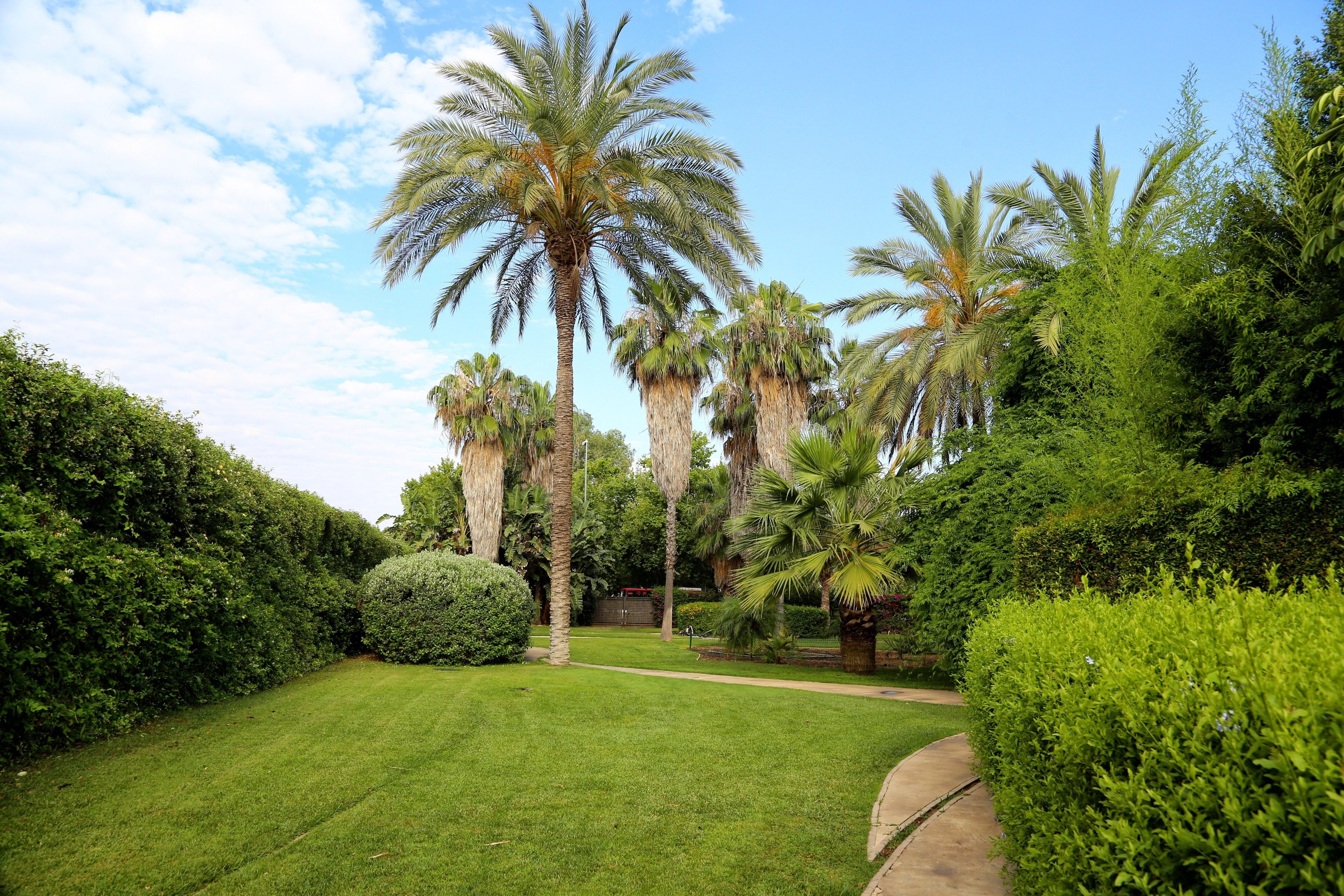 family quadruple room, terrace | view from room
