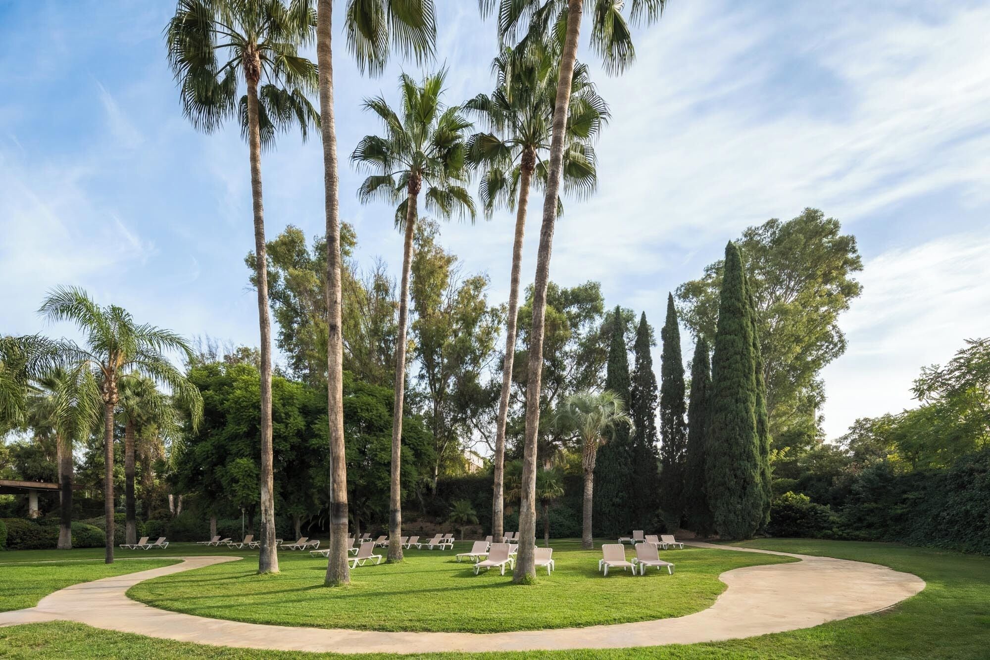 A landscaped garden with palm trees, a curved pathway, and rows of white lounge chairs.