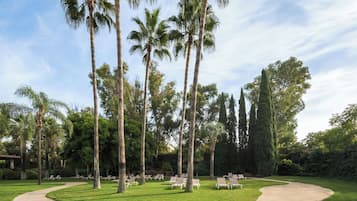 A landscaped garden with palm trees, a curved pathway, and rows of white lounge chairs.
