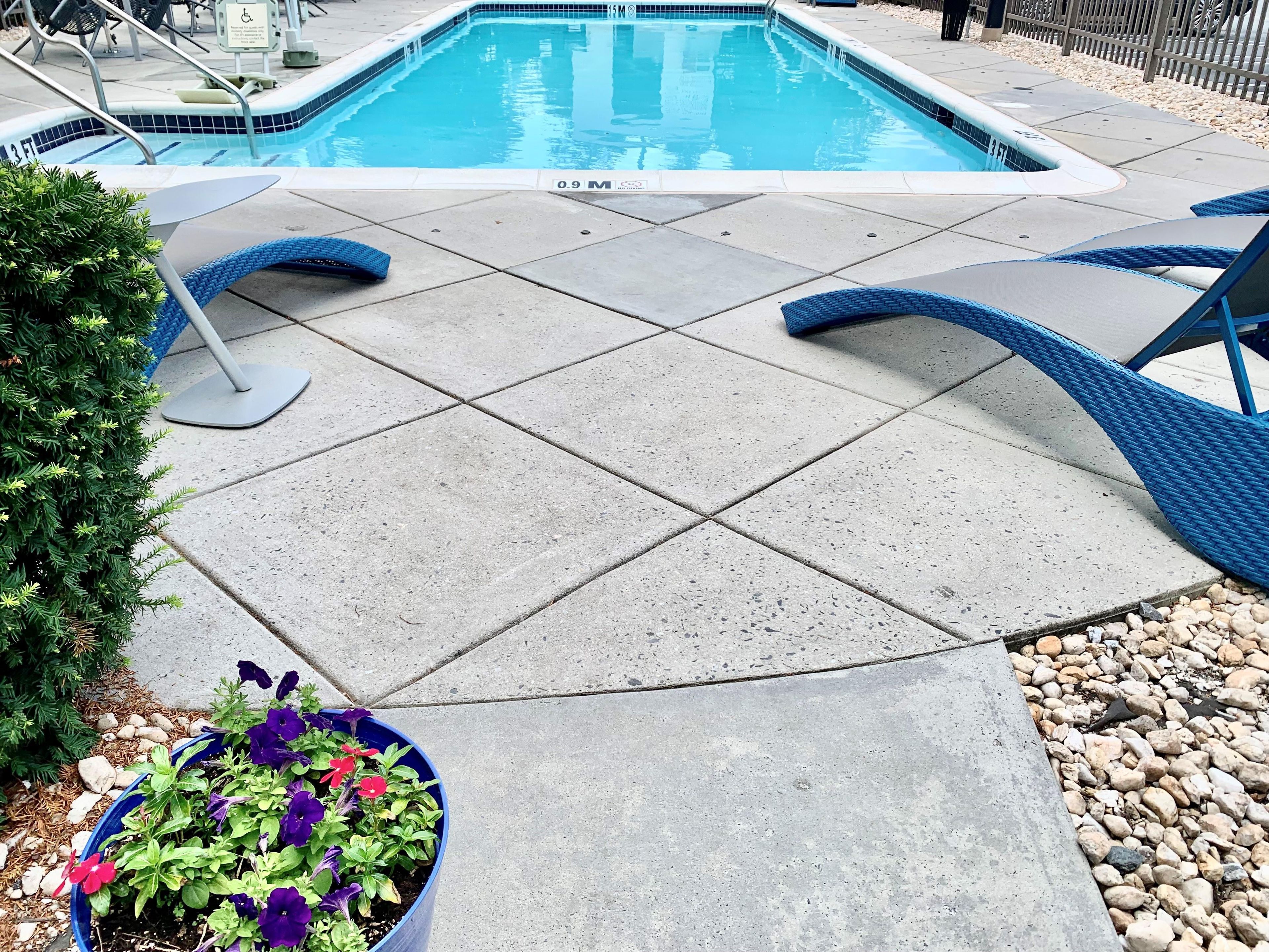 A swimming pool with a tiled deck, lounge chairs, and a potted plant with flowers.
