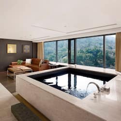 Premium bedding, down comforters, minibar, in-room safe