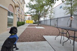 Pet-friendly