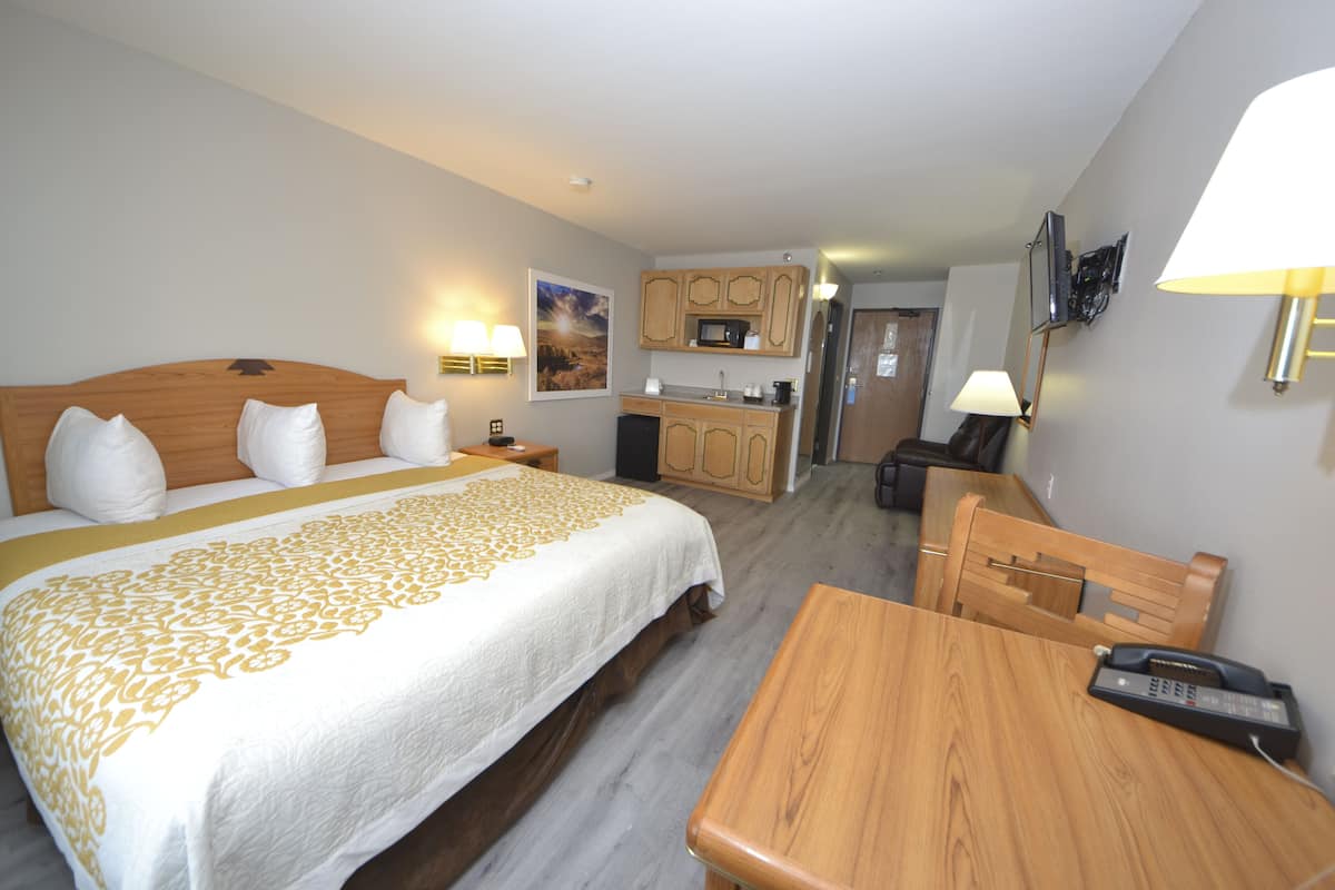 Room, 1 King Bed, Non Smoking | Desk, laptop workspace, blackout drapes, iron/ironing board