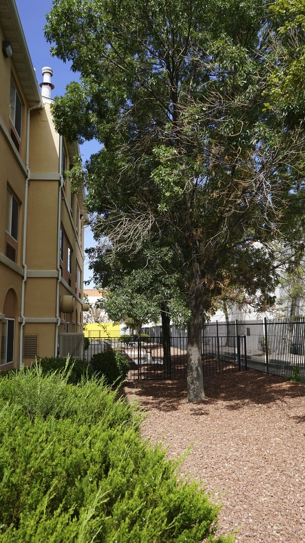 Un patio arbolado con un edificio de fachada amarilla y cerca de metal negro.