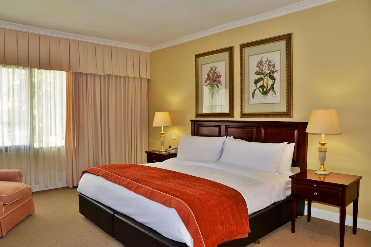 Minibar, caja de seguridad en la habitación y escritorio