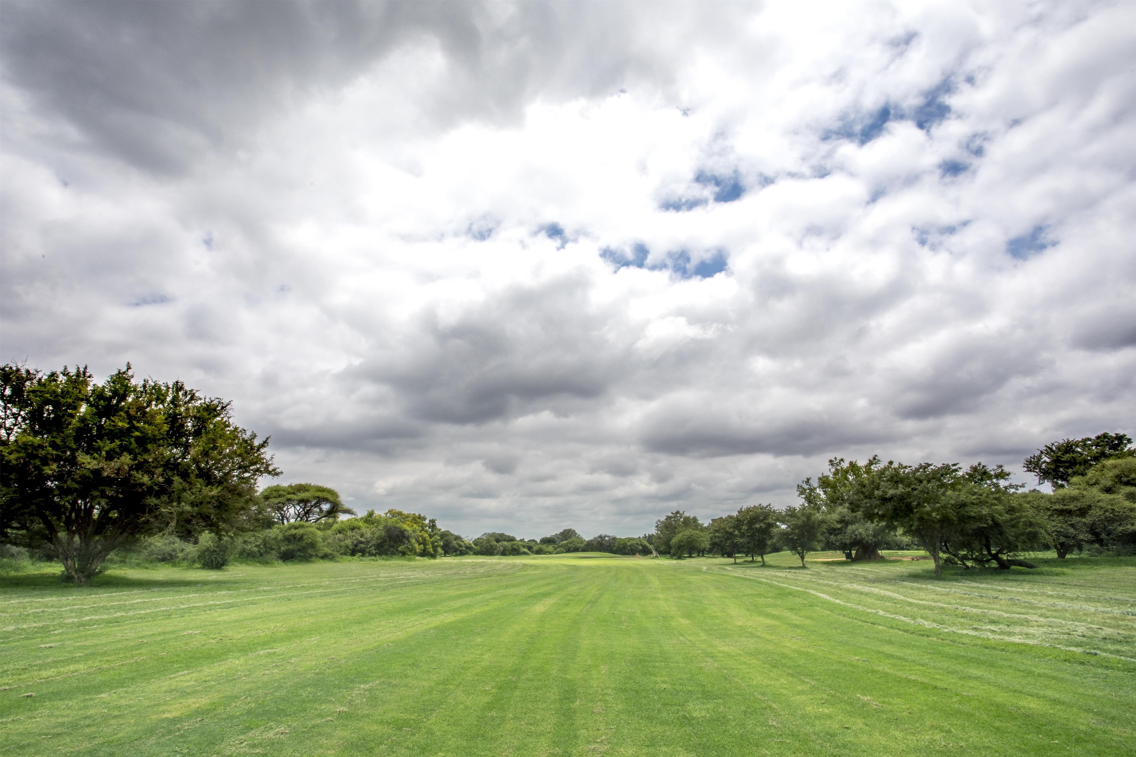 Un campo extenso y abierto con árboles a ambos lados bajo un cielo nublado.