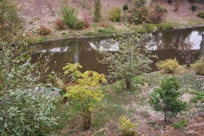 Blick auf den Garten